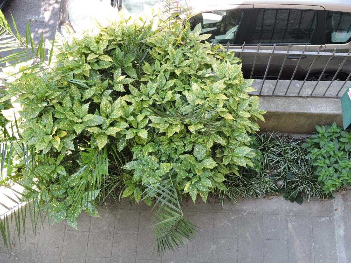 Nice/Nizza : Apartment Zewnętrze zdjęcie